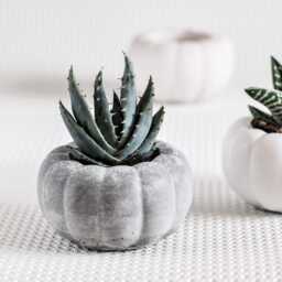 Textured Round Concrete Planter - Small Grey Pot For Succulents, Cactus Or Air Plants - thumbnail 3