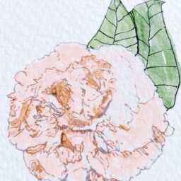Indiana State Flower Map Watercolor Peony - Art Print Wall Graduation Wedding Anniversary Realtor Moving Gift Midwest Indianapolis - thumbnail 4