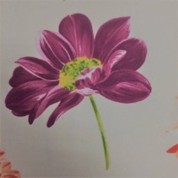 "Designers Guild ""Collerette' in The Cream Colourway Cushion Pillow Cover 18" - thumbnail 3