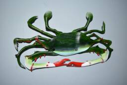Crab 3D Picture Sea Art - Leather Wall Hanging This One Available Now