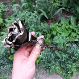 6Th Anniversary Gift For Her, Anniversary, Gift, Iron Wrought Iron, Wedding Metal Rose - thumbnail 3