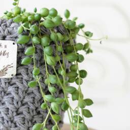 Handmade Crochet Plant Pot Cover Slate Grey Cotton, Plastic Free - thumbnail 4