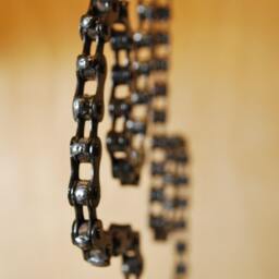 Bike Chain Cactus - thumbnail 4