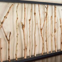Horizontal Framed Tree Branch Wall Art - Sculptural Design Scandinavian Nature Decor - thumbnail 3