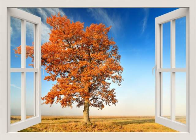 Tree Wall Decal, 3D Window Forest Nature View Sticker, Frame, Mural, Home Decor Mural