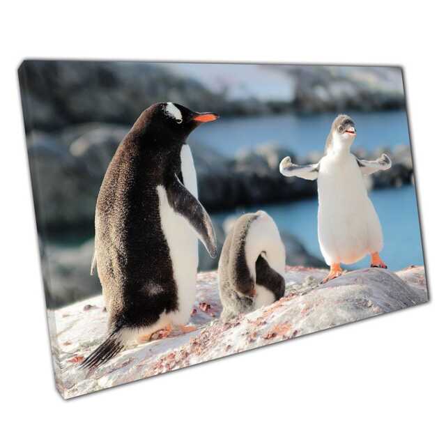 Playful Gentoo Penguins in Antarctica - Canvas Wall Art Print For Home & Office Decor - image 1