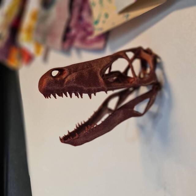 Velociraptor Skull Wall Art - Dinosaur Mount- 3D Printed Multiple Colours Available - image 1