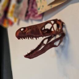 Velociraptor Skull Wall Art - Dinosaur Mount- 3D Printed Multiple Colours Available - thumbnail 1