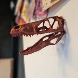 Velociraptor Skull Wall Art - Dinosaur Mount- 3D Printed Multiple Colours Available - thumbnail 3