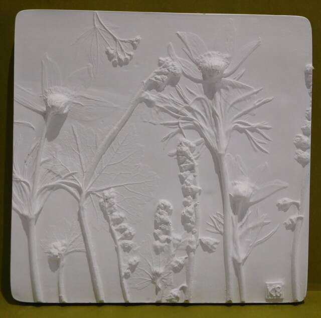 Anenome Chinensis Hand Made Botanical Plaster Wall Art - image 1