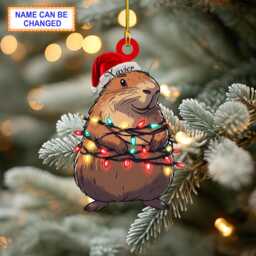 Custom Name Capybara Smile Christmas Lights Personalized Ornament, Tree Hanging Decor, Flat 2D Ornament Acrylic/ Wooden