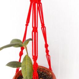 Red Plant Hanging Macrame Hanger 20 Inches 3mm Wall Flower Pot Gift Idea Window Cord Indoor Or Outdoor Decoration - thumbnail 2