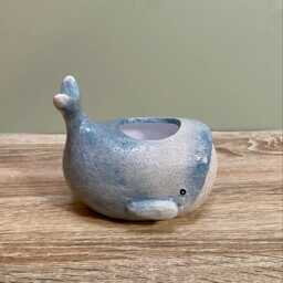 Ceramic Whale Planter Seaside Cosy Home D??cor Marine Ocean Indoor Ornamental Plant Pot - thumbnail 2