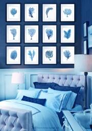 Blue Sea Coral Wall Art Prints Set Of 12 Beach House Decor - thumbnail 1