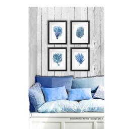 Blue Sea Coral Wall Art Prints Set Of 12 Beach House Decor - thumbnail 2