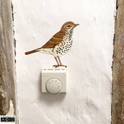 Song Thrush Wall Decal, Bird Sticker, Decor, Gift, Woodland Decals, Kitchen Gift For Her - thumbnail 1