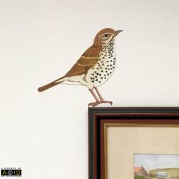 Song Thrush Wall Decal, Bird Sticker, Decor, Gift, Woodland Decals, Kitchen Gift For Her - thumbnail 2