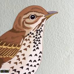 Song Thrush Wall Decal, Bird Sticker, Decor, Gift, Woodland Decals, Kitchen Gift For Her - thumbnail 4