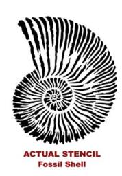 Large Stencil Fossil Shell - Reusable Stencils Better Than Wall Decals - thumbnail 4