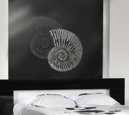Large Stencil Fossil Shell - Reusable Stencils Better Than Wall Decals