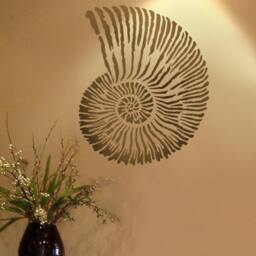 Large Stencil Fossil Shell - Reusable Stencils Better Than Wall Decals - thumbnail 2