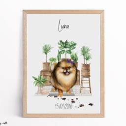 Personalized Pomeranian Print, Dog Lover Gift, Pet Portrait - thumbnail 3
