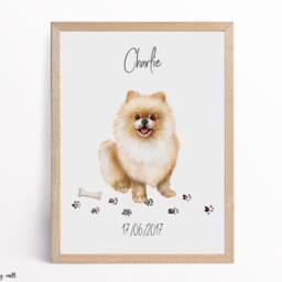 Personalized Pomeranian Print, Dog Lover Gift, Pet Portrait - thumbnail 2