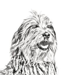 Bergamasco Shepherd - Wooden Stand For Candles/Pens With The Image Of A Dog New Collection - thumbnail 2
