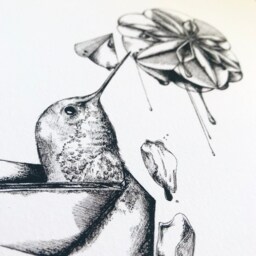 To Keep Savouring Artwork - Hummingbird - Nature Origami Ink Illustration Wall Art Giclee Print - thumbnail 3