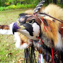 Peregrine Falcon Manitou - Spirit Or Totem - thumbnail 4