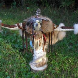 Peregrine Falcon Manitou - Spirit Or Totem - thumbnail 2