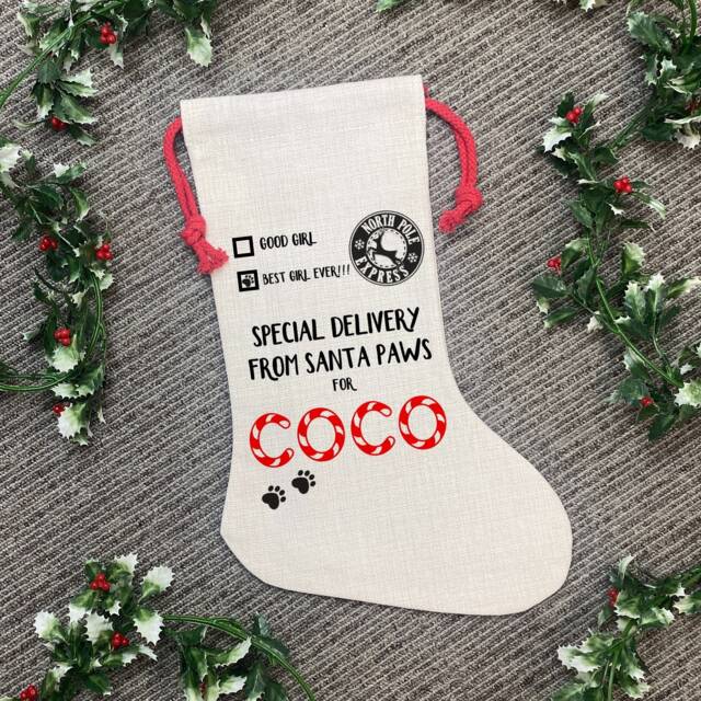 Dog Christmas Stocking - Special Delivery, Treat Bag, Sack, Pet Santa Eve Gift - image 1