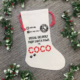 Dog Christmas Stocking - Special Delivery, Treat Bag, Sack, Pet Santa Eve Gift - thumbnail 1