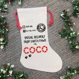 Dog Christmas Stocking - Special Delivery, Treat Bag, Sack, Pet Santa Eve Gift - thumbnail 2