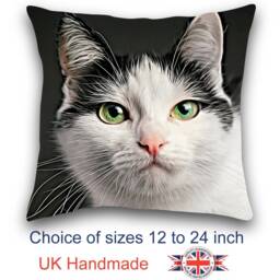 Black & White Cat Cushion, Pillow, Choice Of Sizes, Handmade - thumbnail 1