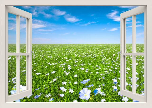Flowers Field Wall Decal, 3D Window View Mural, Frame, Nature Living Room Bedroom Home Decor