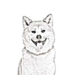 Akita Inu - Wooden Stand For Candles/Pens With The Image Of A Dog New Collection - thumbnail 2