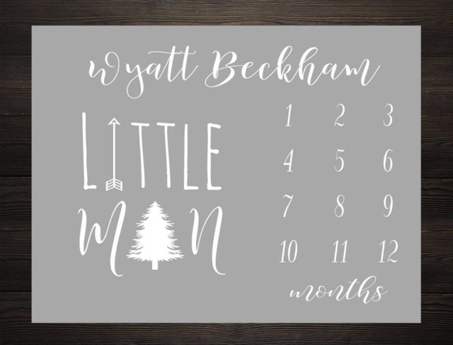 Baby Milestone Blanket Month Growth Tracker Fleece Shower Twin Newborn Gift Minky Boy Girl - image 1