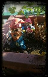 Zombie Garden Gnomes - 5-9cm - thumbnail 1