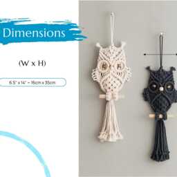 Handmade Macrame Owl Wall Hanging, Boho Decor, Farmhouse Art W73 - thumbnail 3