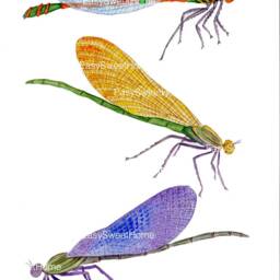 Large Damselflies Wall Decals, Decals Dragonflies, Home D??cor, Bedroom For Walls, Tile & Furniture By Easysweethome - thumbnail 2