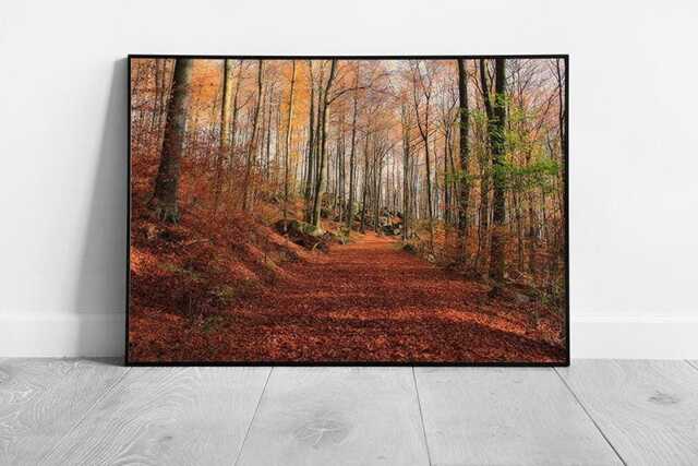 Autumn Woodland Walk Framed Wall Art Print - Nature Forest Landscape Scene Picture - image 1