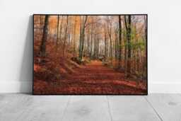 Autumn Woodland Walk Framed Wall Art Print - Nature Forest Landscape Scene Picture - thumbnail 1