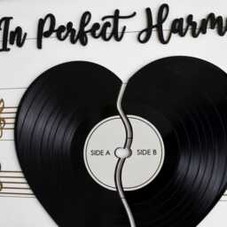 Music Theme Wall Art Record Heart Sign in Perfect Harmony Decor Gift For Couple Musician Room Sheet Framed Wood Plaque - thumbnail 3