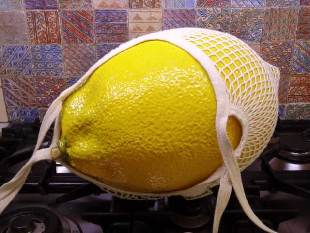 Giant Ceramic Lemon Sculpture - Handmade Realistic Fruit Decor - 15.7 X 11.8 11.8 - image 1
