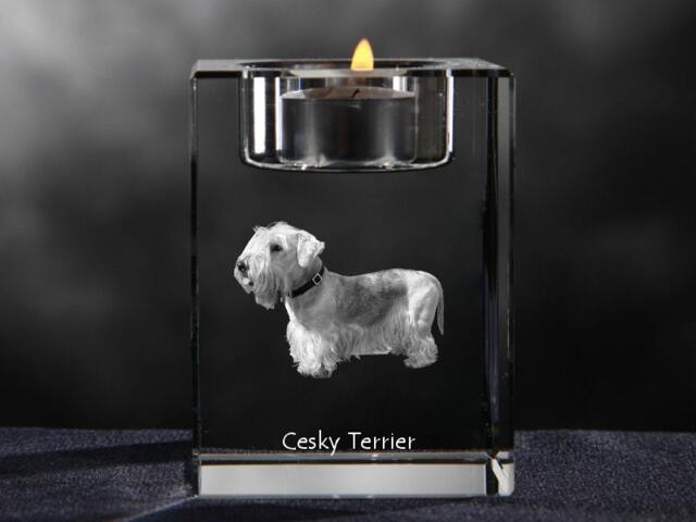 Cesky Terrier, Crystal Candlestick With Dog, Souvenir, Decoration, Limited Edition, Collection - image 1
