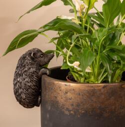 Charming Hedgehog Pot Buddy Hanger - Whimsical Garden Decor - thumbnail 1