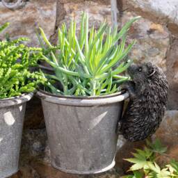 Charming Hedgehog Pot Buddy Hanger - Whimsical Garden Decor - thumbnail 3