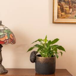 Charming Hedgehog Pot Buddy Hanger - Whimsical Garden Decor - thumbnail 2