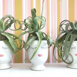Face Planter Pot, Cute Head Cache, Fun Ceramic Vase, Celfie Small & Large For Plant Or Flowers, Succulent Cactus Air Mom Gift - thumbnail 2
